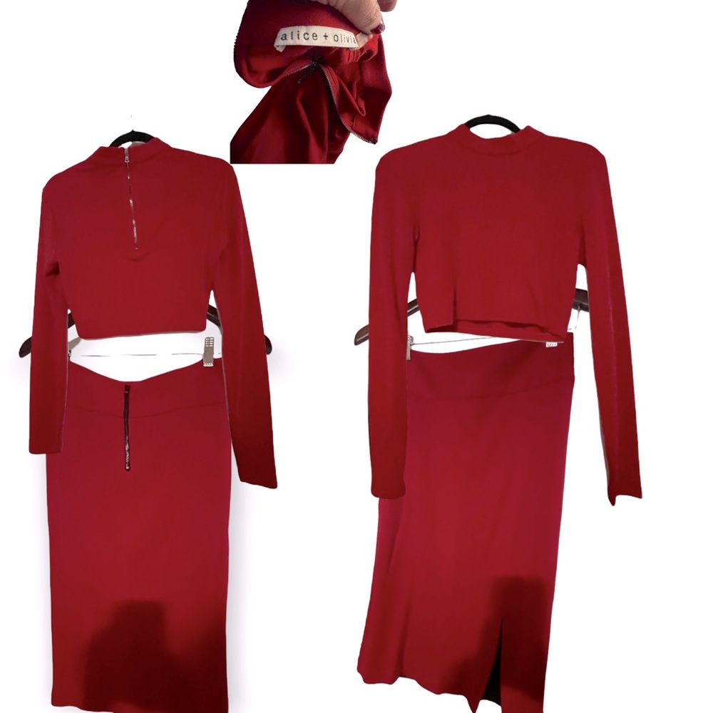 Alice and Olivia 2 piece dress